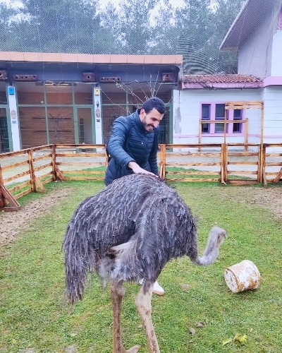 İstanbul kuş cenneti 