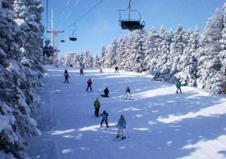 Daily trip to Bursa 